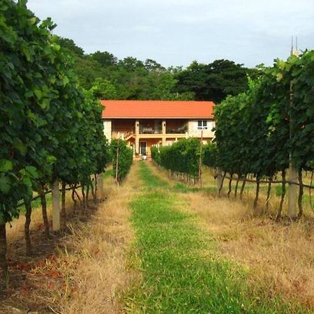 Granmonte Wine Cottage Phayayen Dış mekan fotoğraf