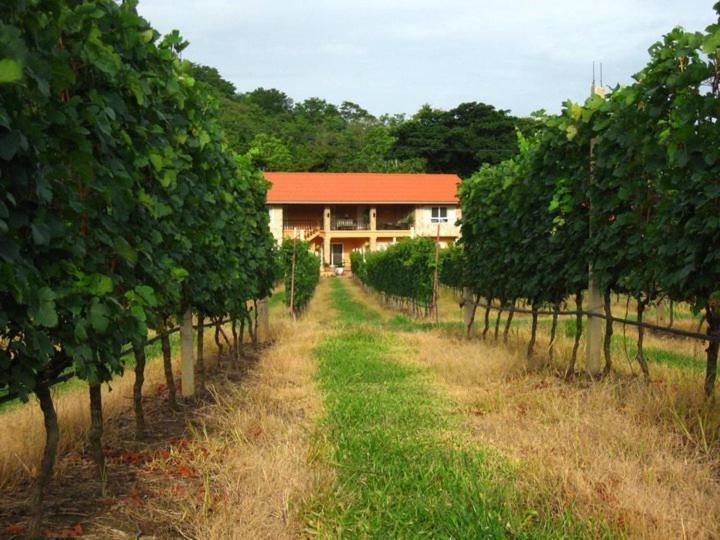 Granmonte Wine Cottage Phayayen Dış mekan fotoğraf