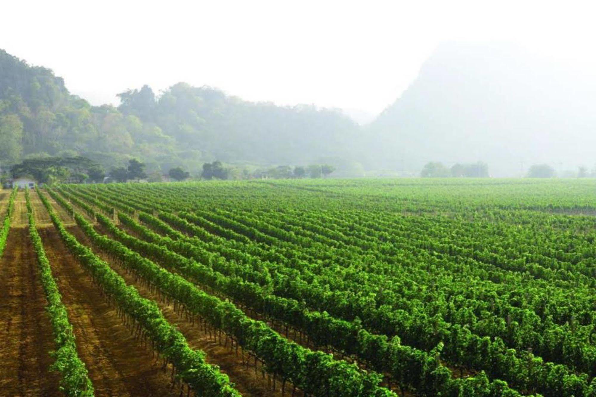 Granmonte Wine Cottage Phayayen Dış mekan fotoğraf