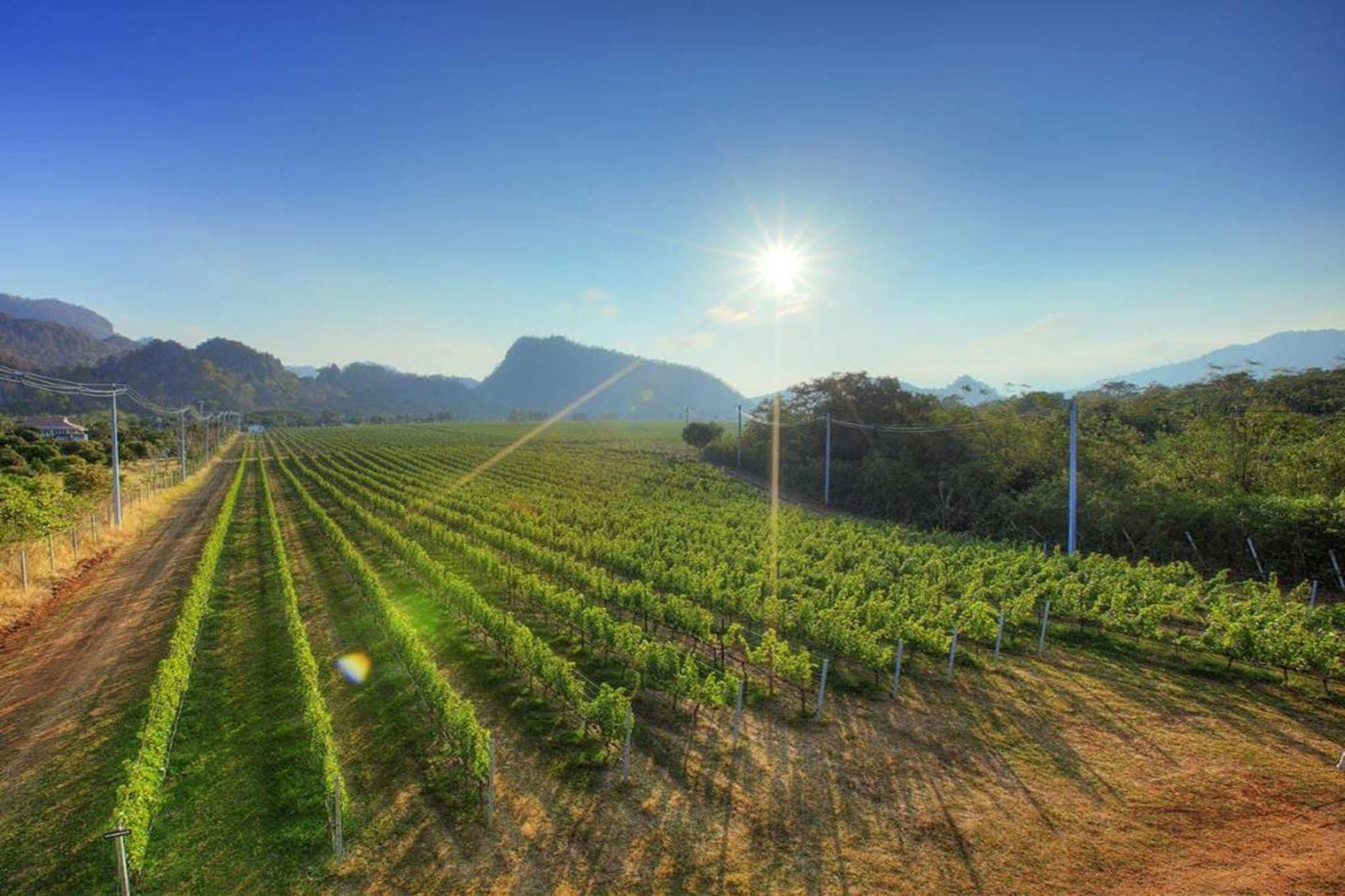 Granmonte Wine Cottage Phayayen Dış mekan fotoğraf