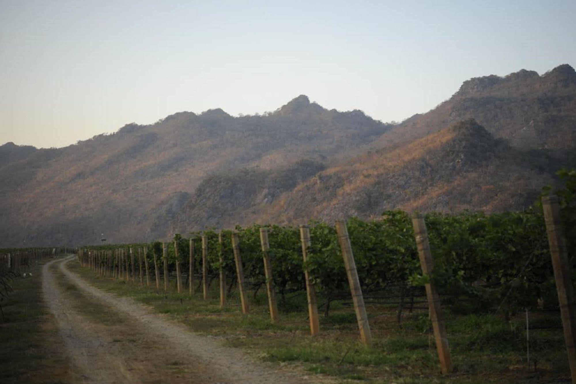 Granmonte Wine Cottage Phayayen Dış mekan fotoğraf