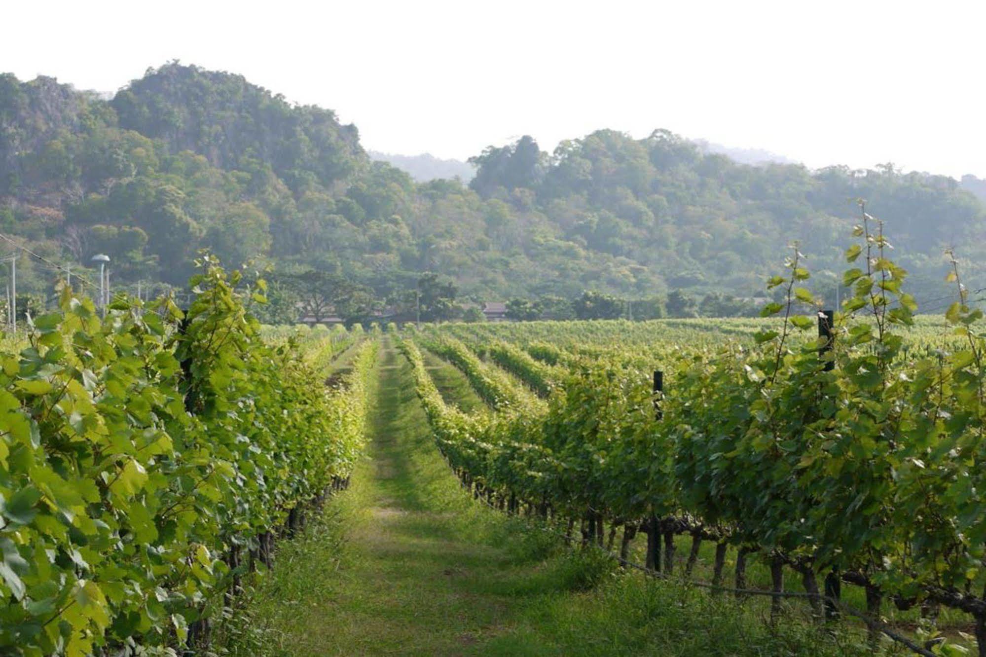 Granmonte Wine Cottage Phayayen Dış mekan fotoğraf