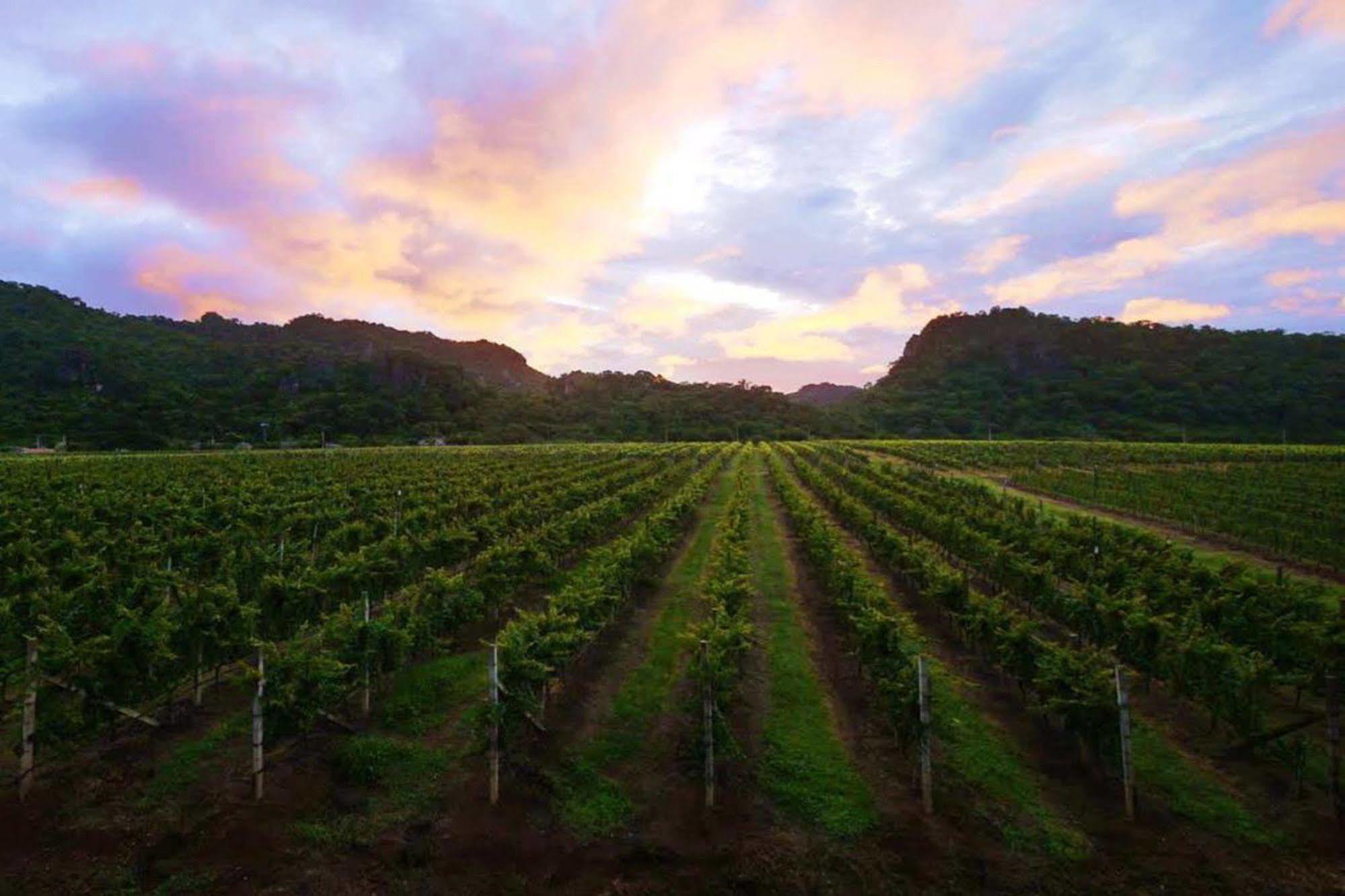 Granmonte Wine Cottage Phayayen Dış mekan fotoğraf